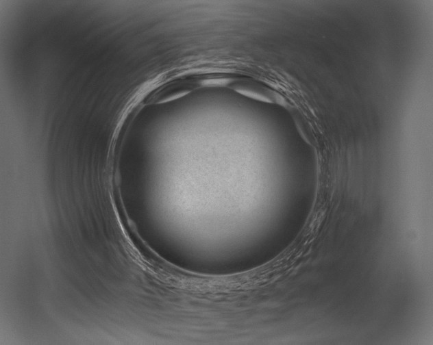 X0000054460003200507291400