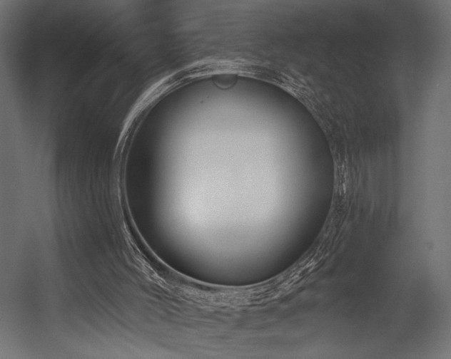 X0000054460004200507291400