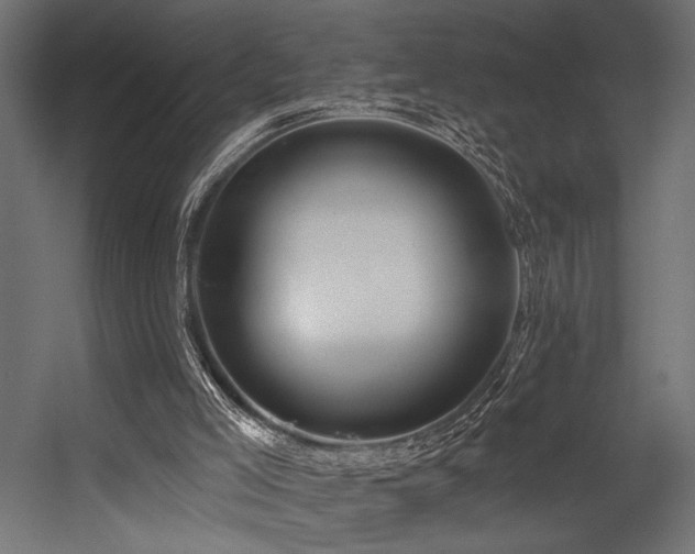 X0000054460005200507291400