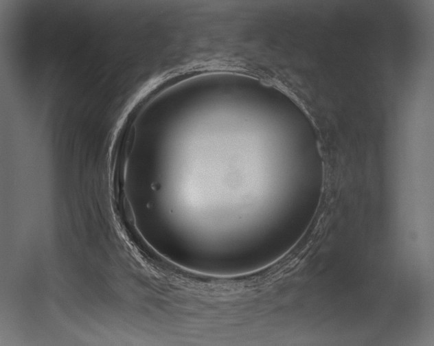 X0000054460008200507291400