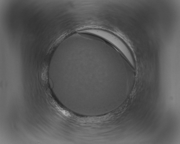 X0000054460009200507291400