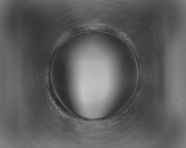 X0000054460010200507291400