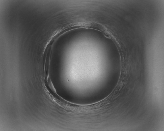 X0000054460011200507291400