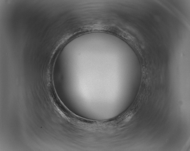 X0000054460012200507291400