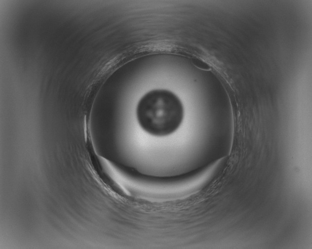 X0000054460013200507291400