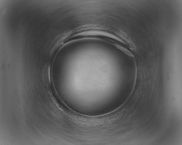 X0000054460014200507291400