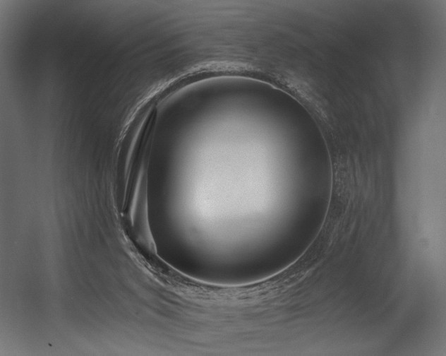 X0000054460015200507291400