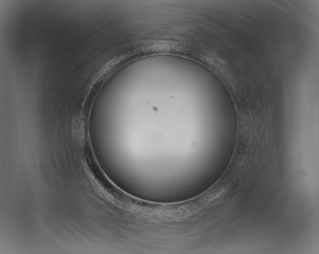 X0000054460016200507291400