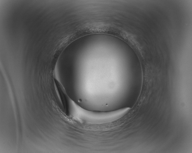 X0000054460017200507291400