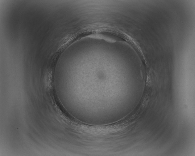 X0000054460018200507291400