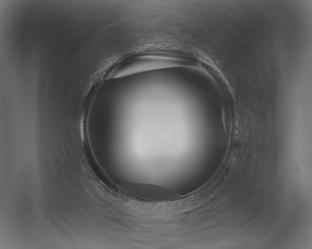 X0000054460019200507291400