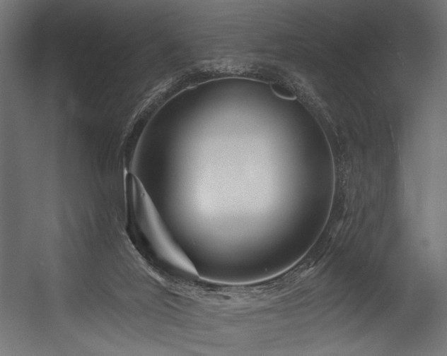 X0000054460020200507291400