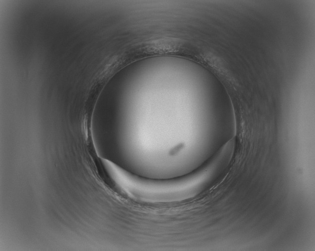 X0000054460021200507291400