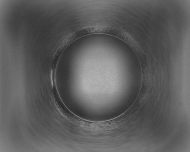 X0000054460022200507291400