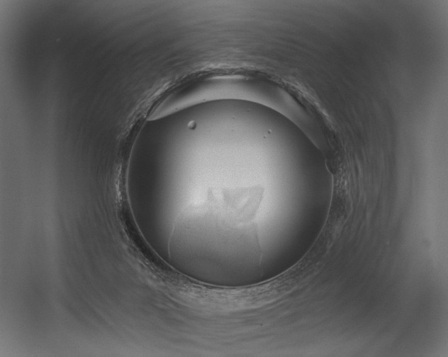 X0000054460023200507291400