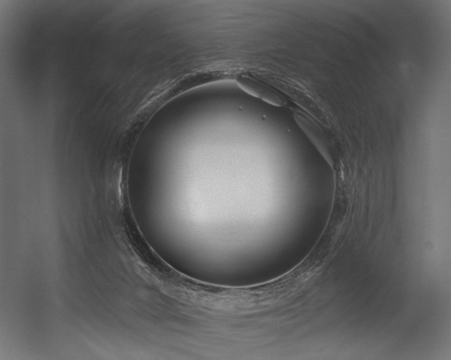 X0000054460024200507291400