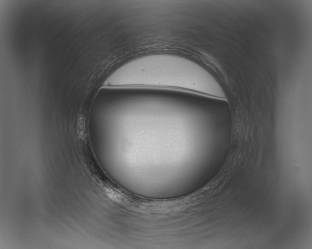 X0000054460025200507291400