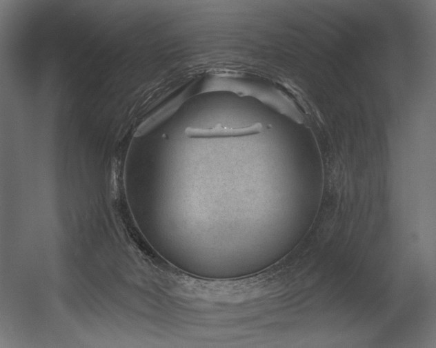 X0000054460026200507291400