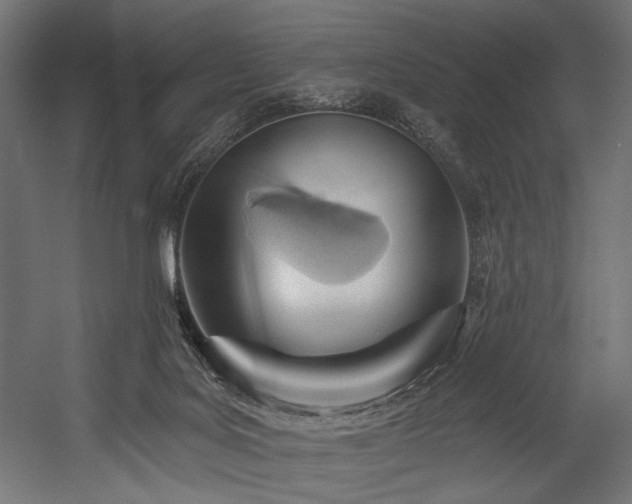 X0000054460027200507291400