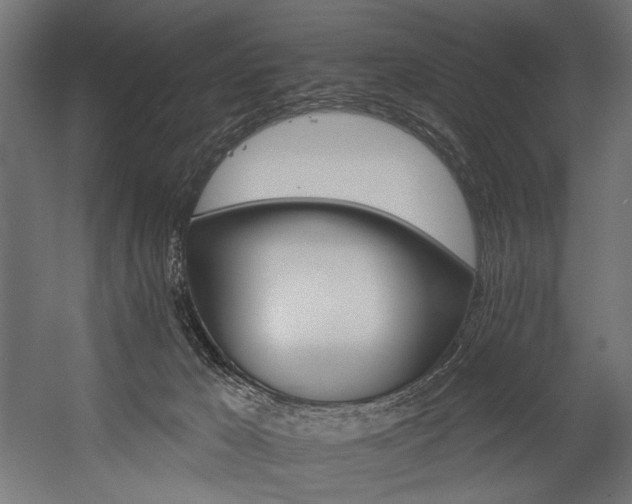 X0000054460029200507291400