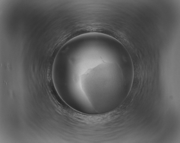 X0000054460031200507291400