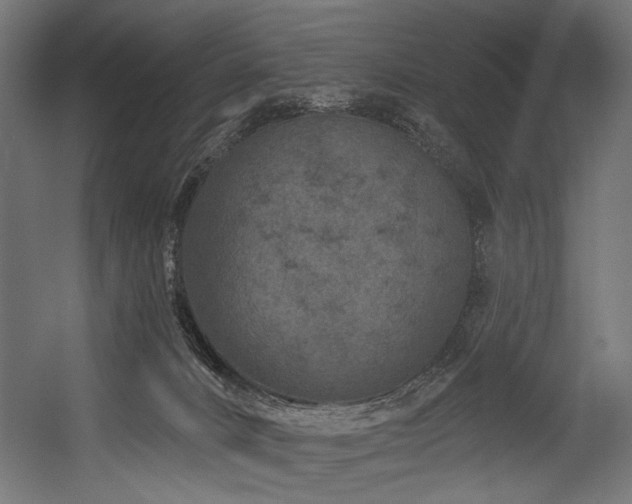 X0000054460032200507291400