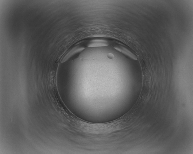 X0000054460034200507291400