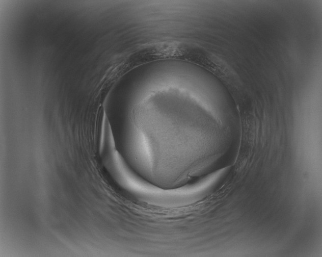 X0000054460035200507291400