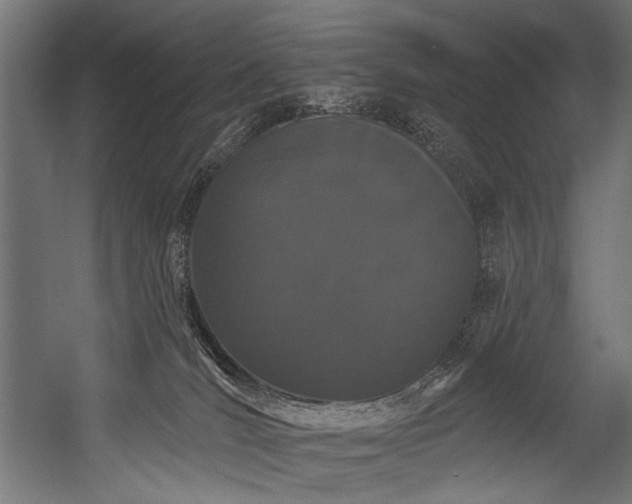 X0000054460036200507291400