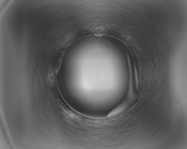 X0000054460037200507291400