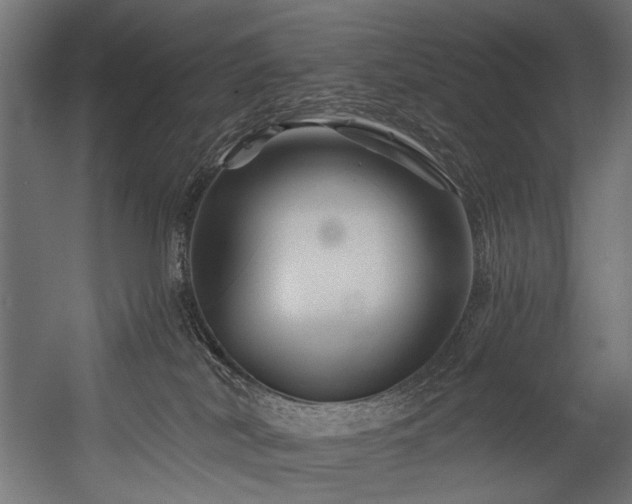 X0000054460038200507291400