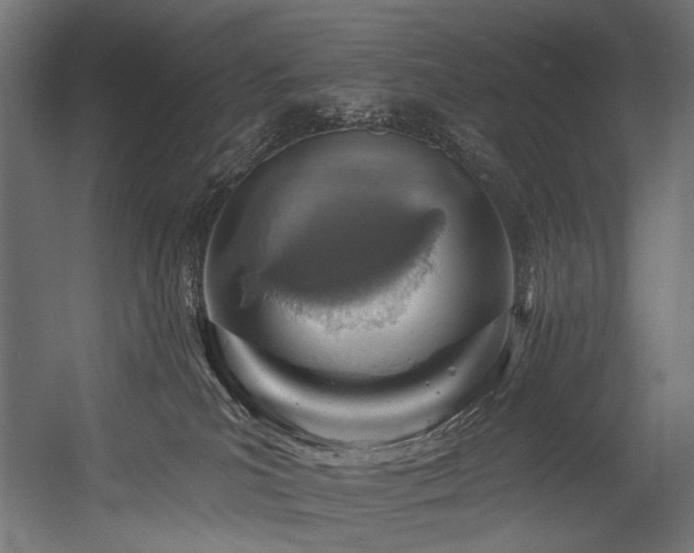 X0000054460039200507291400