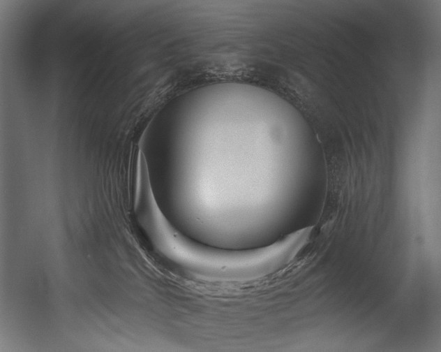 X0000054460040200507291400