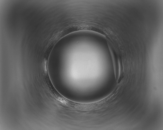 X0000054460041200507291400