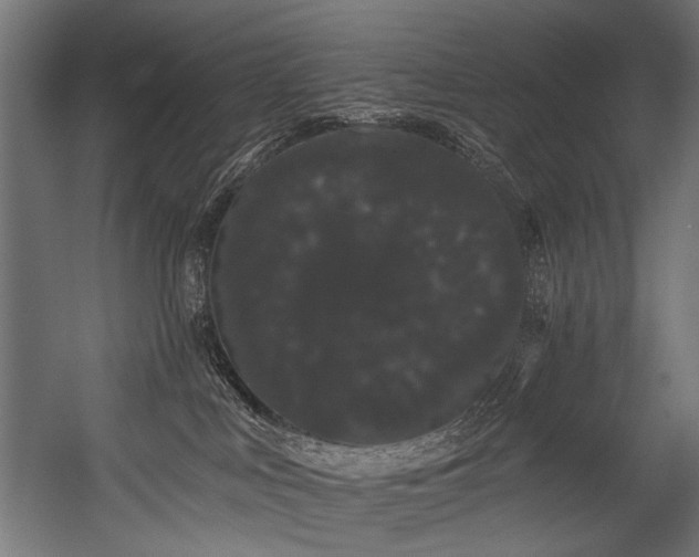 X0000054460043200507291400