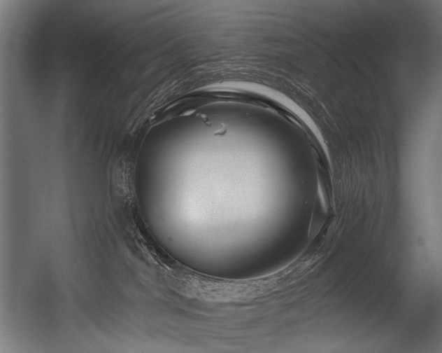 X0000054460044200507291400