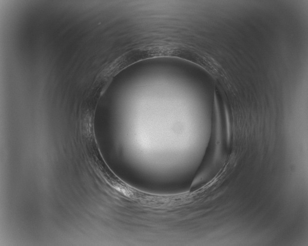 X0000054460045200507291400