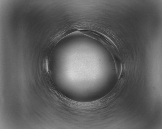 X0000054460046200507291400