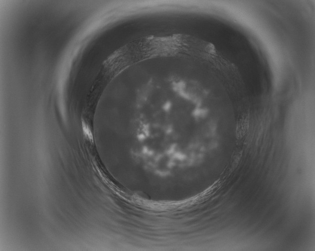 X0000054460047200507291400