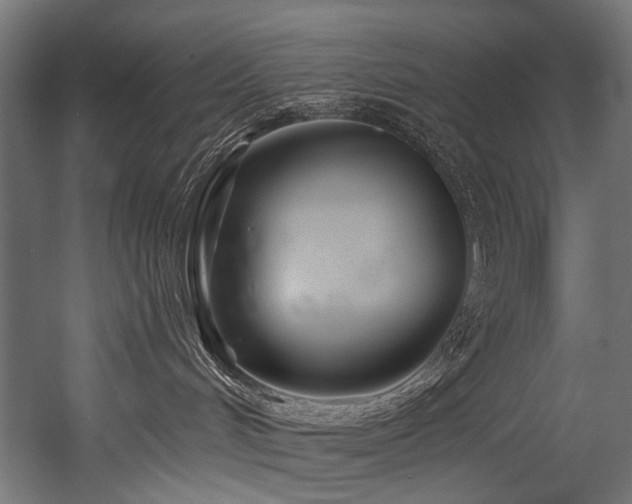 X0000054460048200507291400