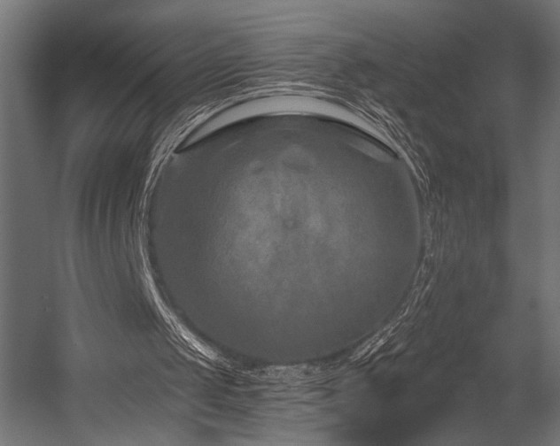 X0000054460049200507291359