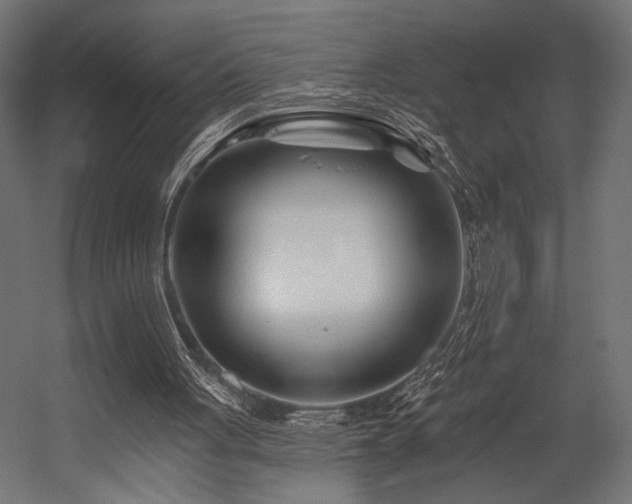 X0000054460051200507291359