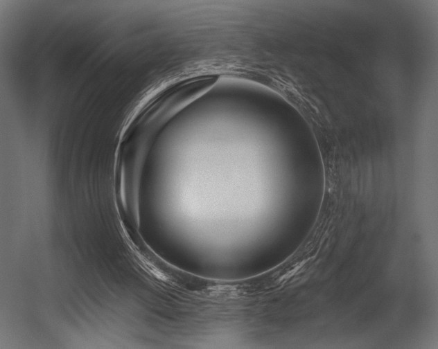 X0000054460052200507291359