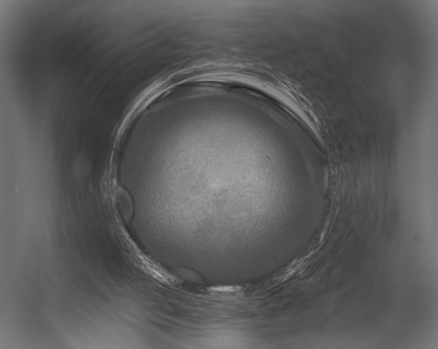 X0000054460053200507291359