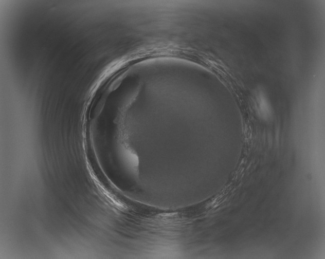 X0000054460054200507291359