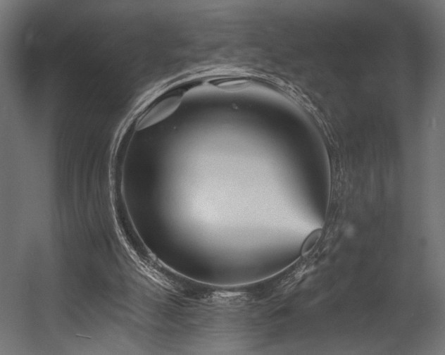 X0000054460055200507291359