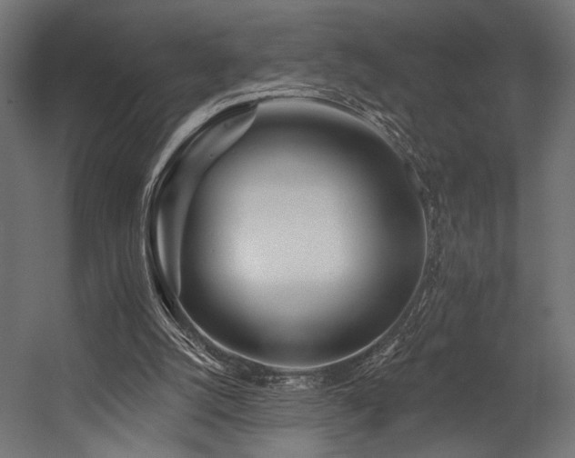 X0000054460056200507291359