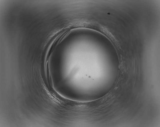 X0000054460058200507291359