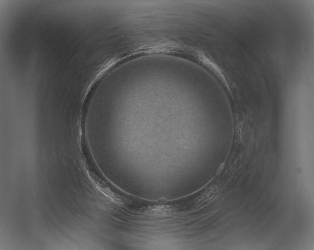 X0000054460059200507291359