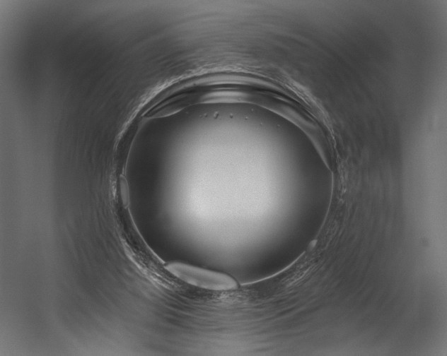 X0000054460060200507291359